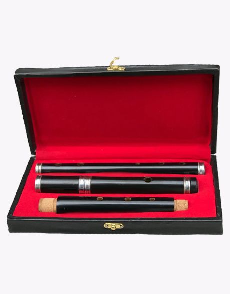 Student Level Irish D-Flute